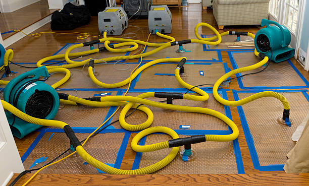 Professional Flood Damage Restoration technician working in Camden, DE